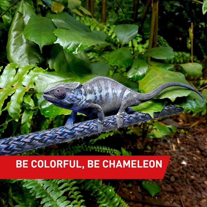 Teufelberger 環保概念靜力繩 Chameleon 變色龍 10.5mm (型號：7360563/7360564/7360565)