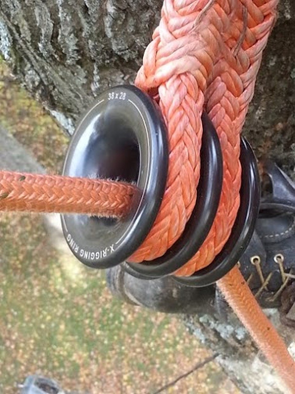 NOTCH X-ring索具環 X-Rigging Ring Medium/ Large/ Beast XL