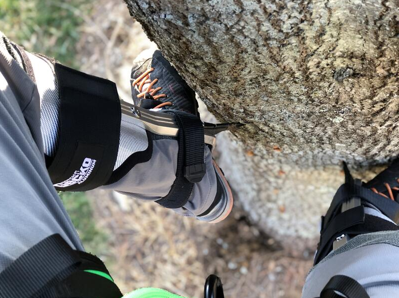 Notch 鋁合金攀樹鞋釘(馬刺) Gecko® Aluminum 2.0 Climbers